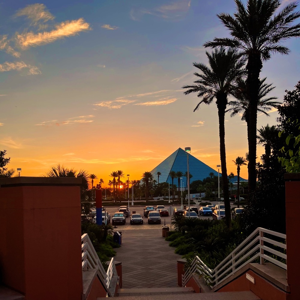 meet your posher, star